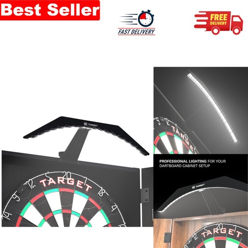 Professional arc dartboard - arc,